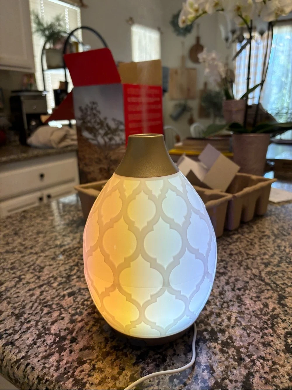Like new In box Young Living Desert Mist Essential Oil Ultrasonic Diffuser.